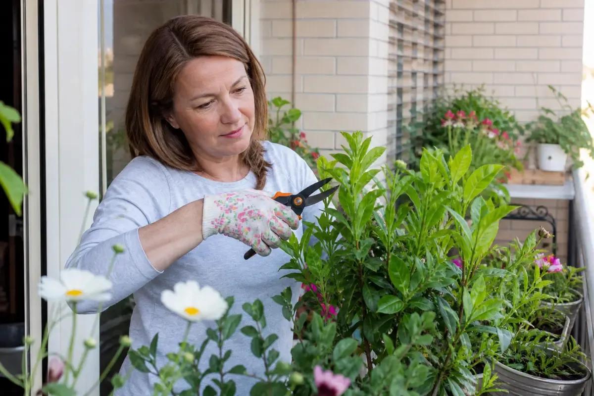 Piante da potare ad aprile: cosa fare davvero (e cosa evitare per non rovinare il giardino)