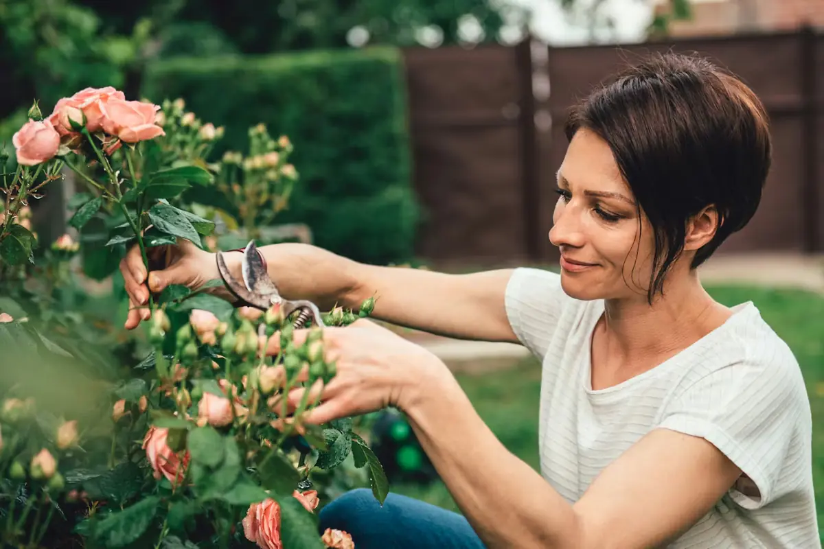Piante da potare ad aprile